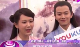 =明星明星公开道歉 明星小说,明星诚挚道歉背后的故事